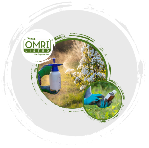 an image of pesticides being applied to a flowering tree, and another image of someone examining a bottle of pesticides, and the OMRI logo