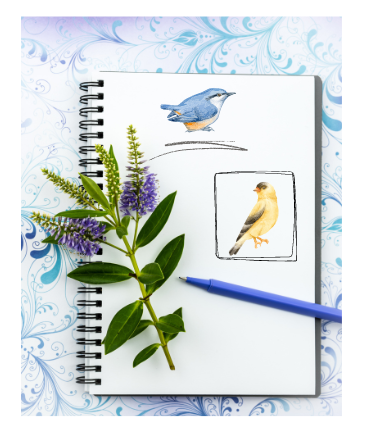 A photo of a journal with a purple flower on top, a blue pen, and two sketches of songbirds